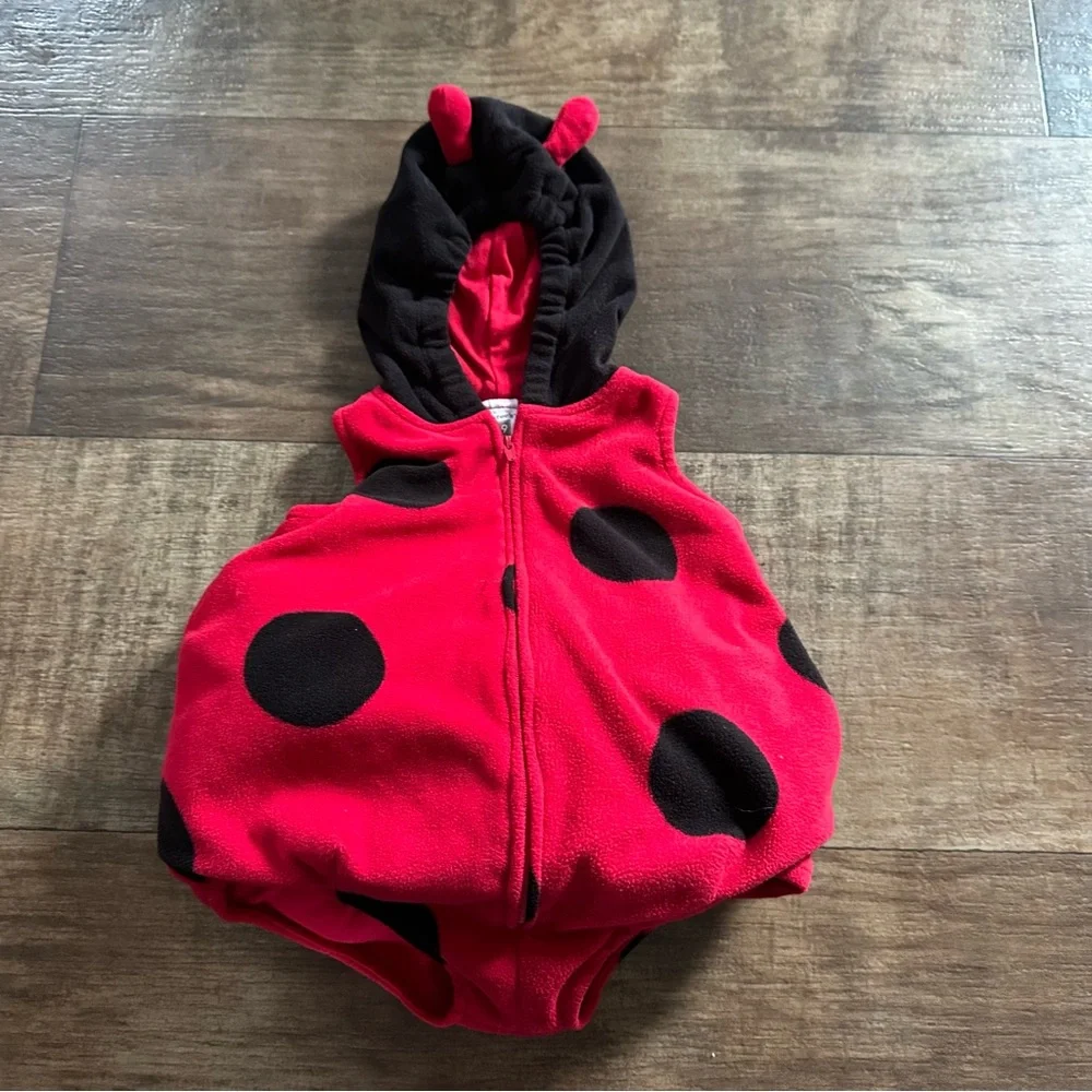 Carter’s lady bug costume 6-9 month